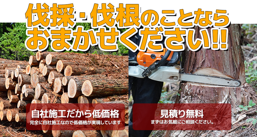 伐採・伐根 おまかせください
